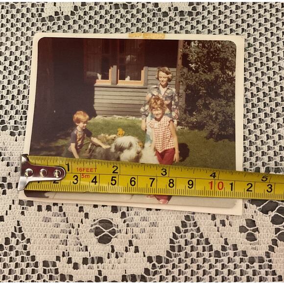 1976 Sheep Dog Christmas Family Photo - Picture 6 of 6
